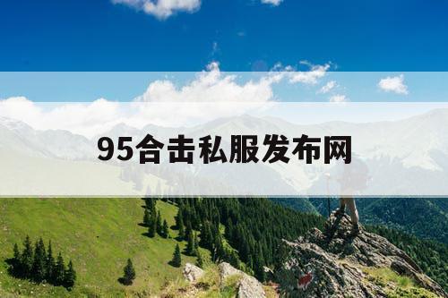 95合击私服发布网