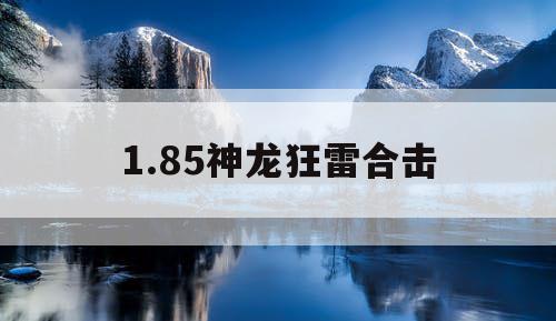 1.85神龙狂雷合击