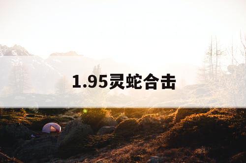 1.95灵蛇合击