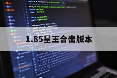 1.85星王合击版本