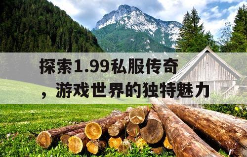 探索1.99私服传奇，游戏世界的独特魅力