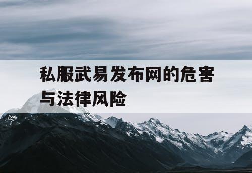 私服武易发布网的危害与法律风险