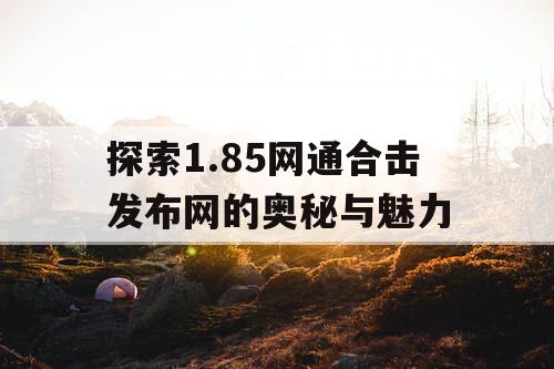 探索1.85网通合击发布网的奥秘与魅力