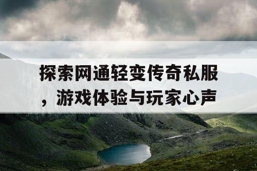 探索网通轻变传奇私服，游戏体验与玩家心声