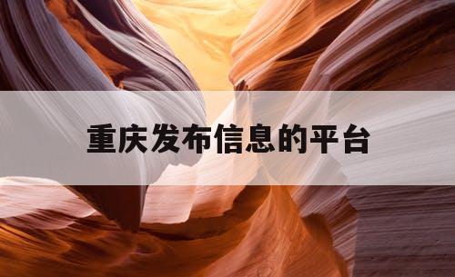 重庆发布信息的平台