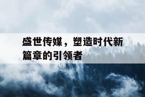 盛世传媒，塑造时代新篇章的引领者