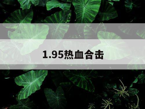 1.95热血合击