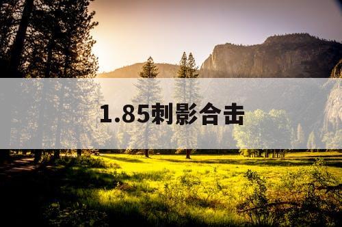 1.85刺影合击