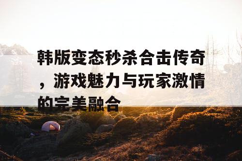 韩版变态秒杀合击传奇，游戏魅力与玩家激情的完美融合