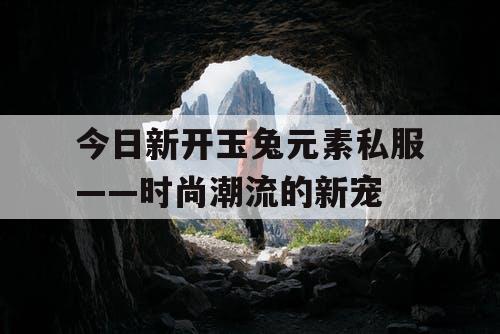 今日新开玉兔元素私服——时尚潮流的新宠