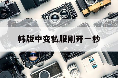 韩版中变私服刚开一秒