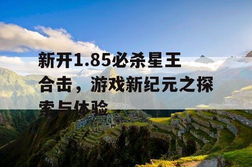 新开1.85必杀星王合击，游戏新纪元之探索与体验