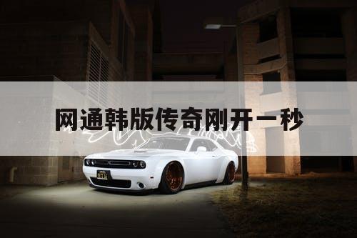 网通韩版传奇刚开一秒