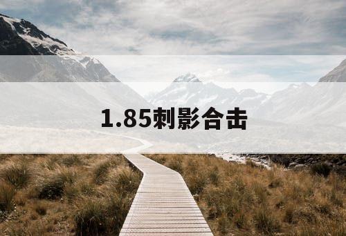 1.85刺影合击