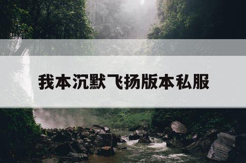 我本沉默飞扬版本私服