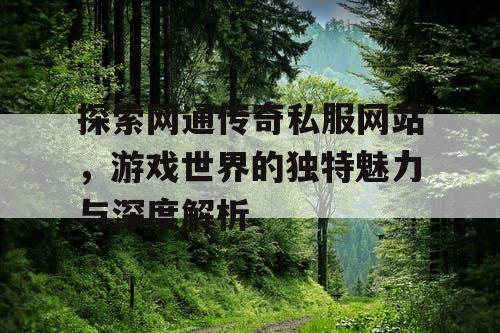 探索网通传奇私服网站，游戏世界的独特魅力与深度解析