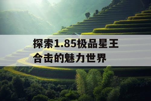 探索1.85极品星王合击的魅力世界