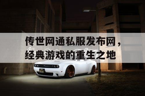 传世网通私服发布网，经典游戏的重生之地