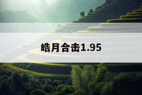 皓月合击1.95