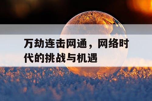 万劫连击网通，网络时代的挑战与机遇