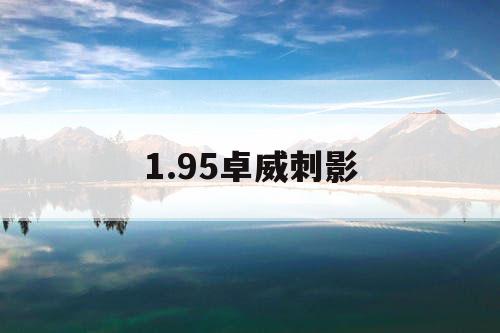 1.95卓威刺影