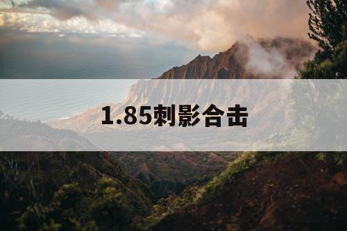 1.85刺影合击