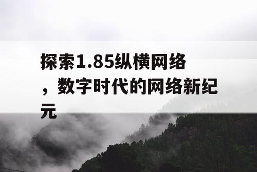 探索1.85纵横网络，数字时代的网络新纪元