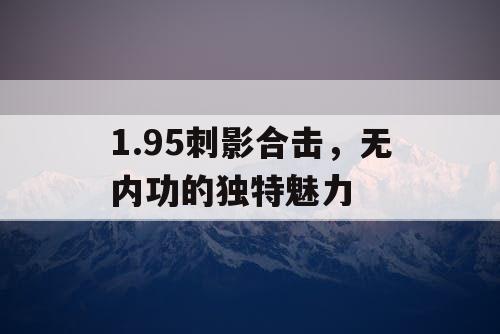1.95刺影合击，无内功的独特魅力
