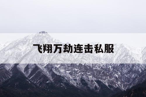 飞翔万劫连击私服
