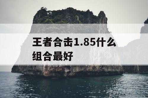 王者合击1.85什么组合最好