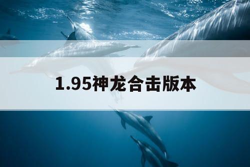1.95神龙合击版本