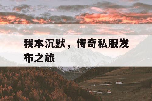 我本沉默，传奇私服发布之旅