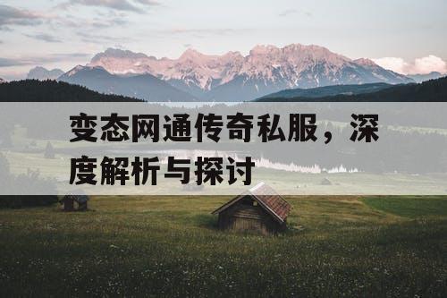 变态网通传奇私服，深度解析与探讨