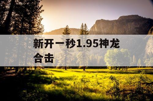 新开一秒1.95神龙合击