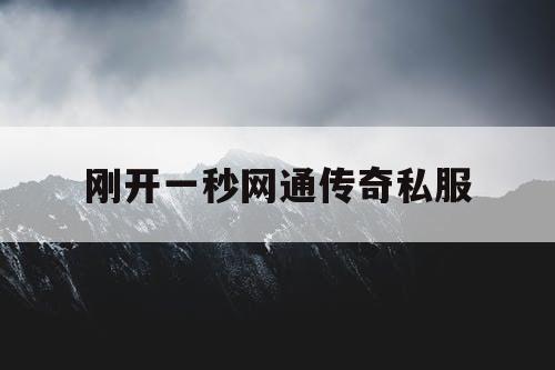 刚开一秒网通传奇私服