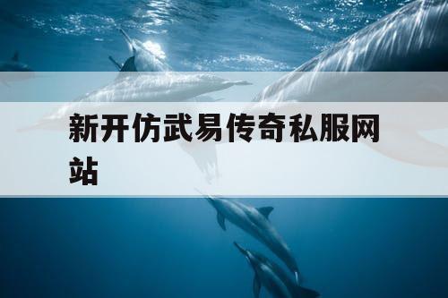 新开仿武易传奇私服网站