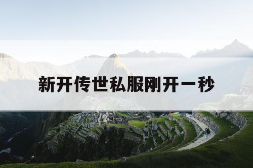 新开传世私服刚开一秒