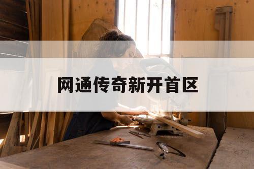 网通传奇新开首区