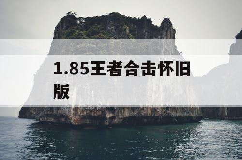1.85王者合击怀旧版