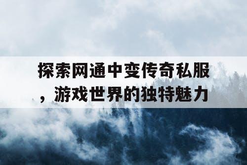 探索网通中变传奇私服，游戏世界的独特魅力