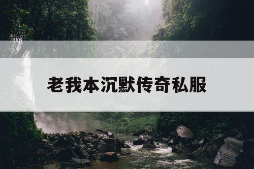 老我本沉默传奇私服