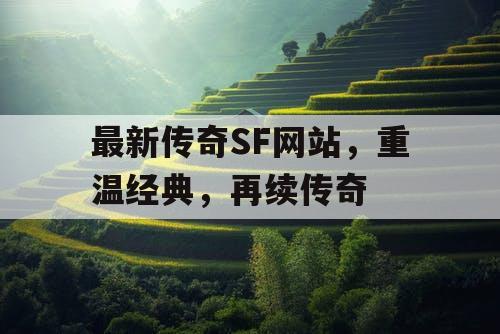 最新传奇SF网站，重温经典，再续传奇