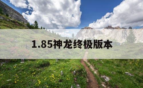 1.85神龙终极版本