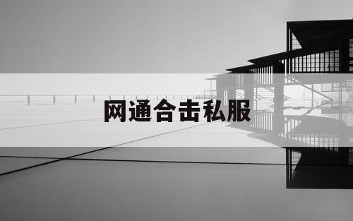 网通合击私服