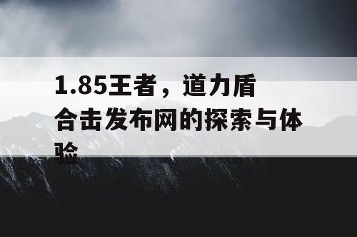 1.85王者，道力盾合击发布网的探索与体验