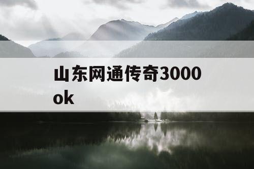 山东网通传奇3000ok