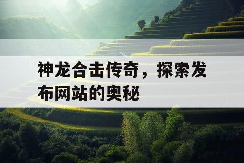 神龙合击传奇，探索发布网站的奥秘