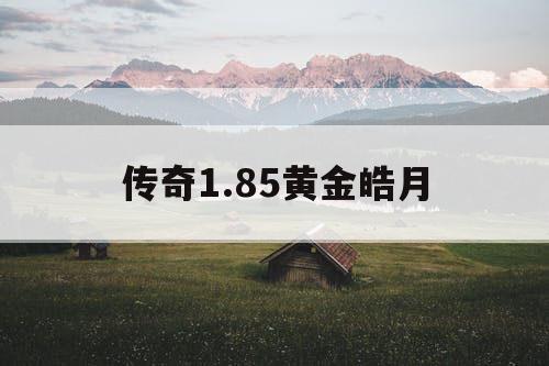 传奇1.85黄金皓月