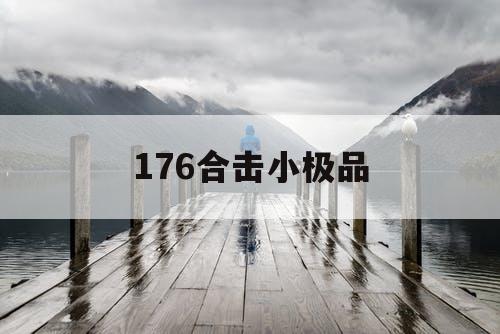 176合击小极品