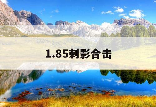 1.85刺影合击